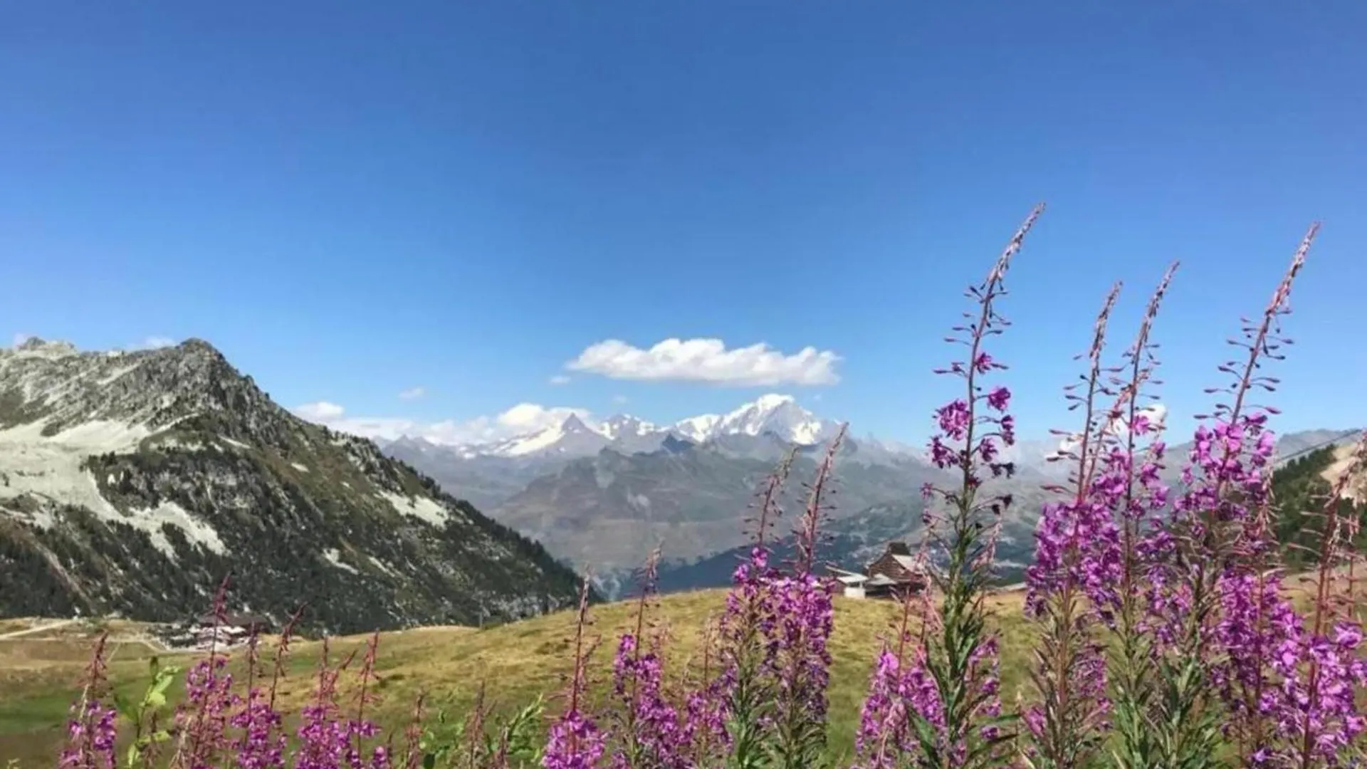 Apartment With Fireplace And Wi-Fi In Arc 2000 Les Arcs   Les Arcs (Savoie)